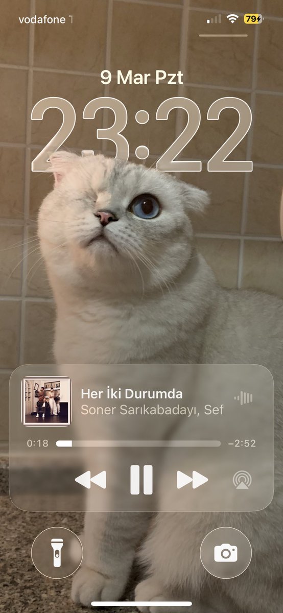 • tweet media