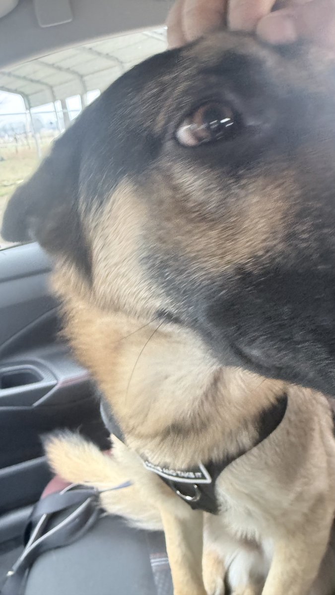 chace berry tweet media