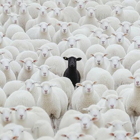 mya ⋆˚✿ tweet media