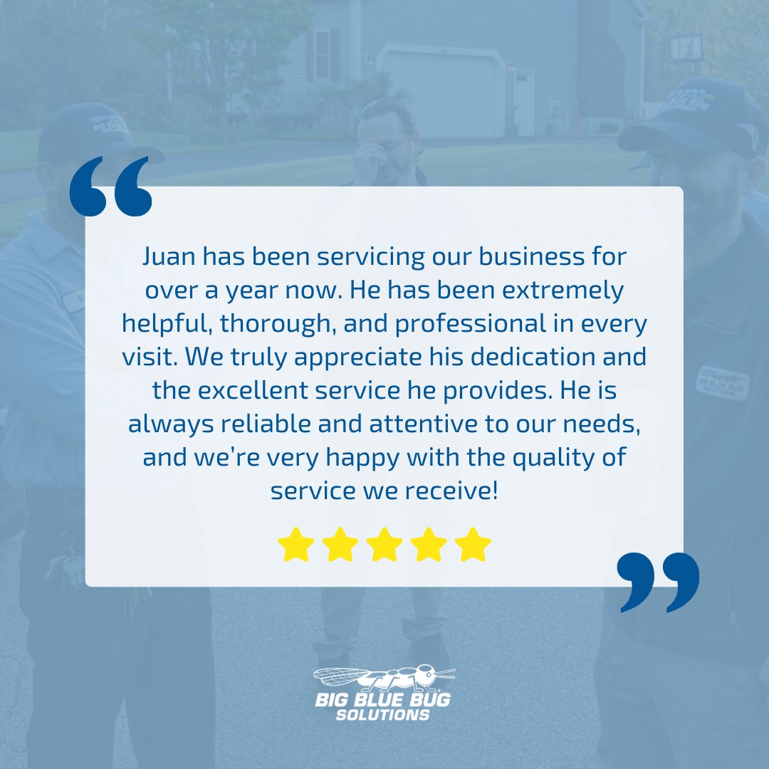 Big Blue Bug tweet media