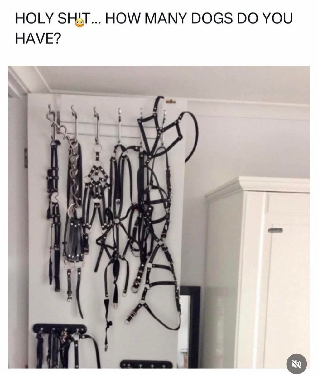 Papa Woof und Krampus und Bleaken (@woofknight) on Twitter photo 