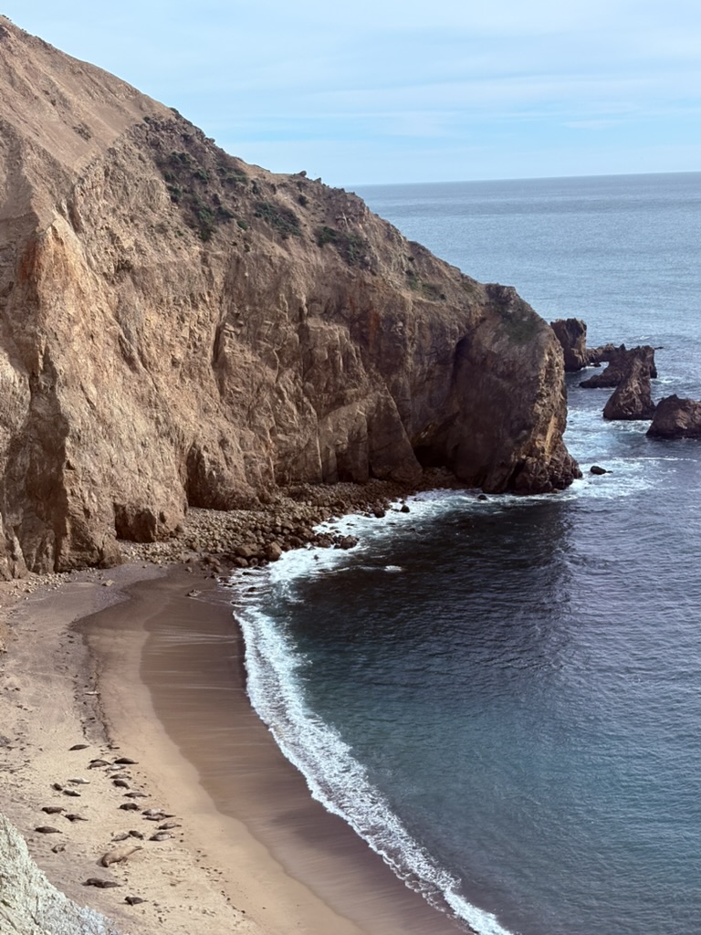 Julia Steinberg tweet media