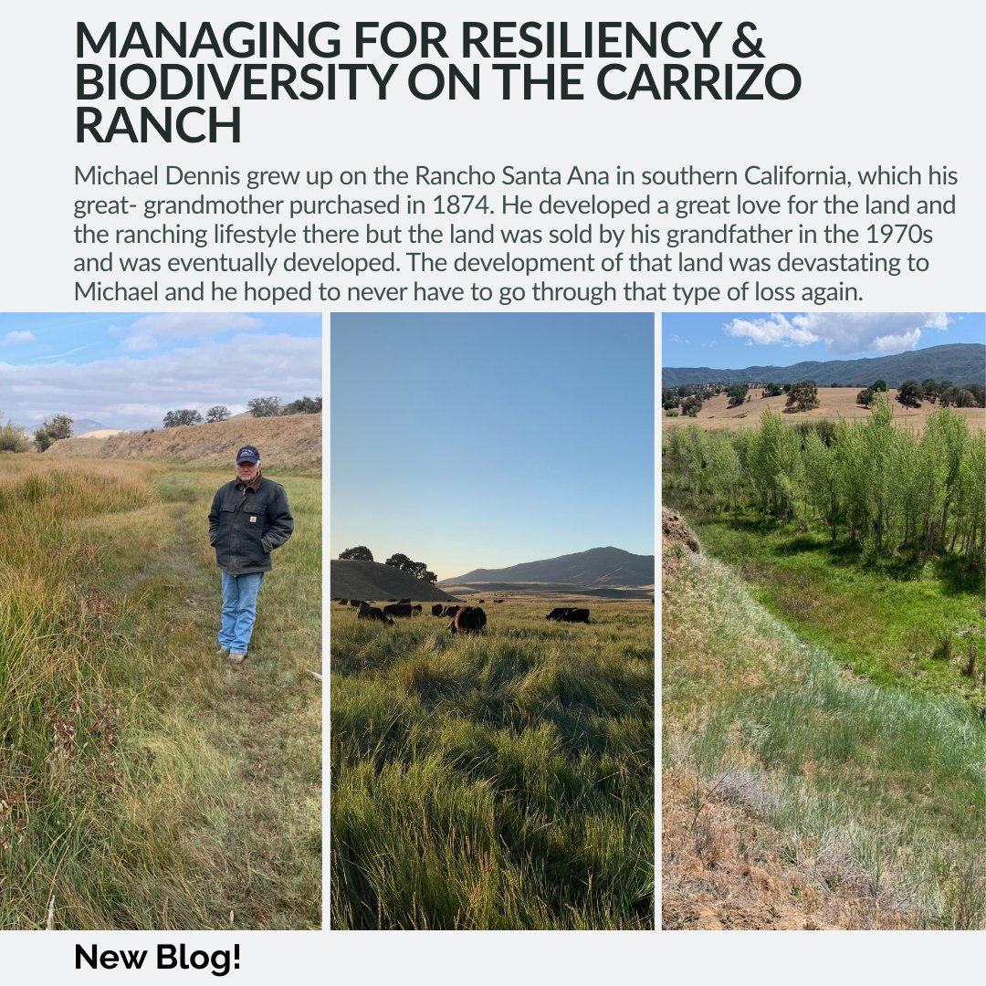 Holistic Mgmt. Int'l tweet media