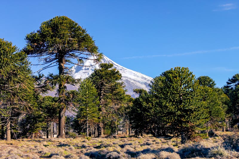 Διονύσιος tweet media