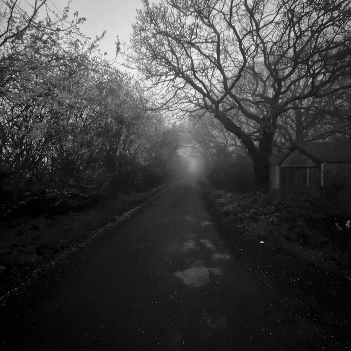 Litstable tweet media