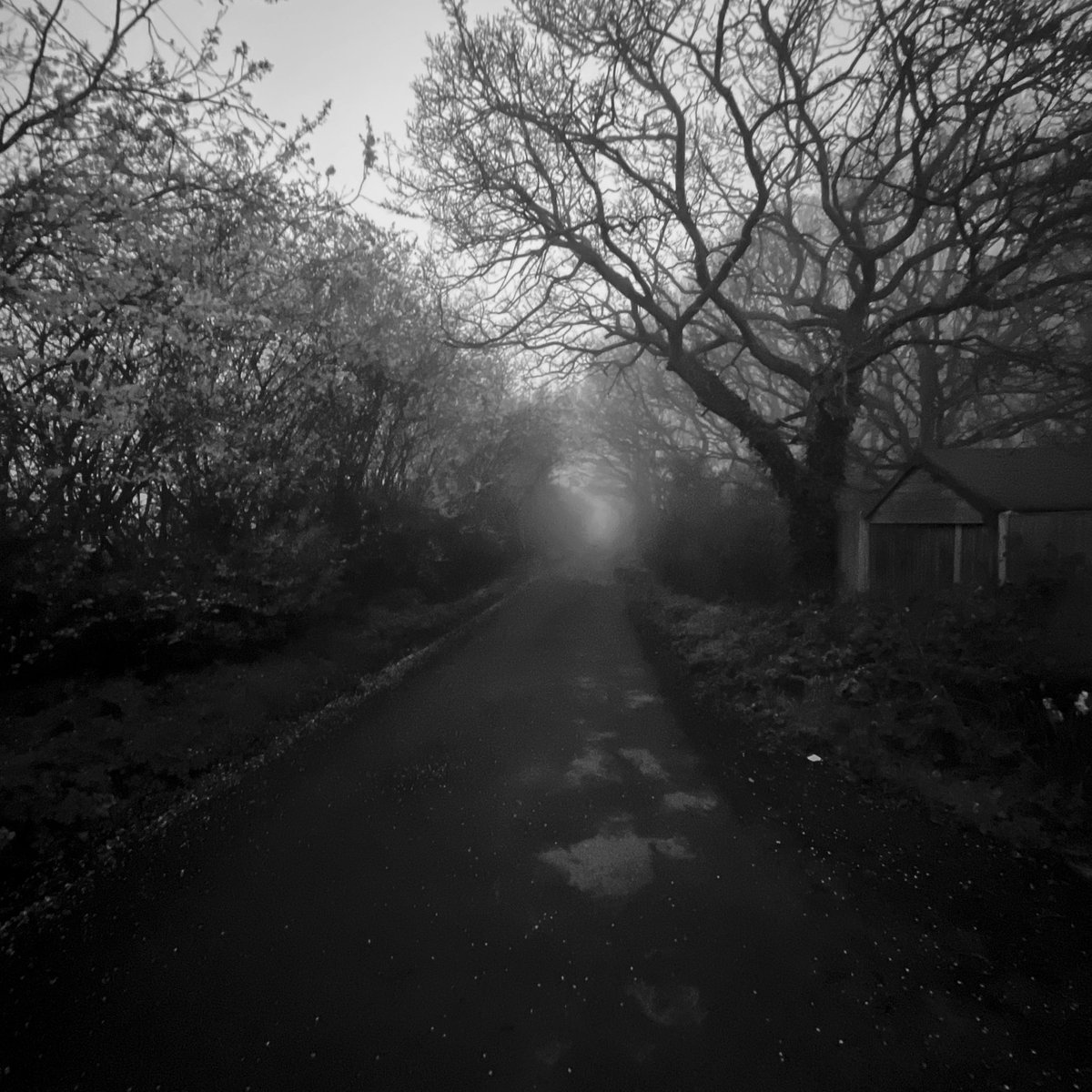 Litstable tweet media