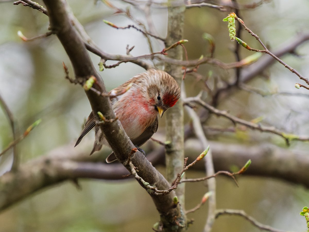 Michael Sanders tweet media