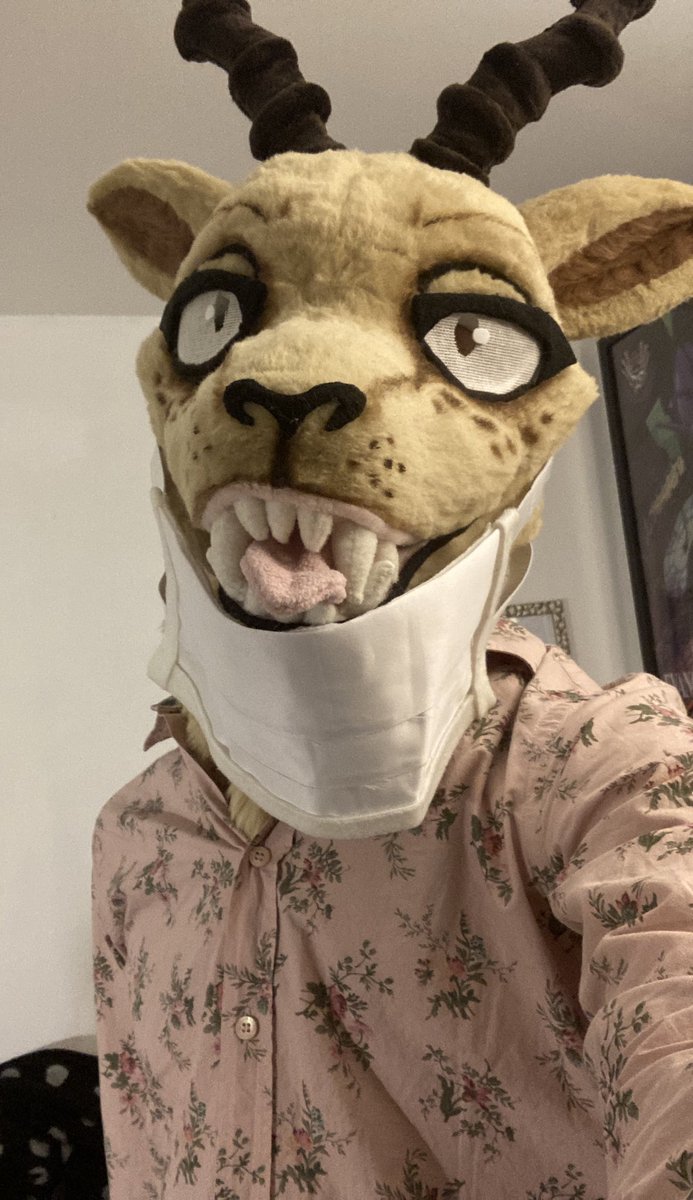 RYDO๐ ??? tweet media