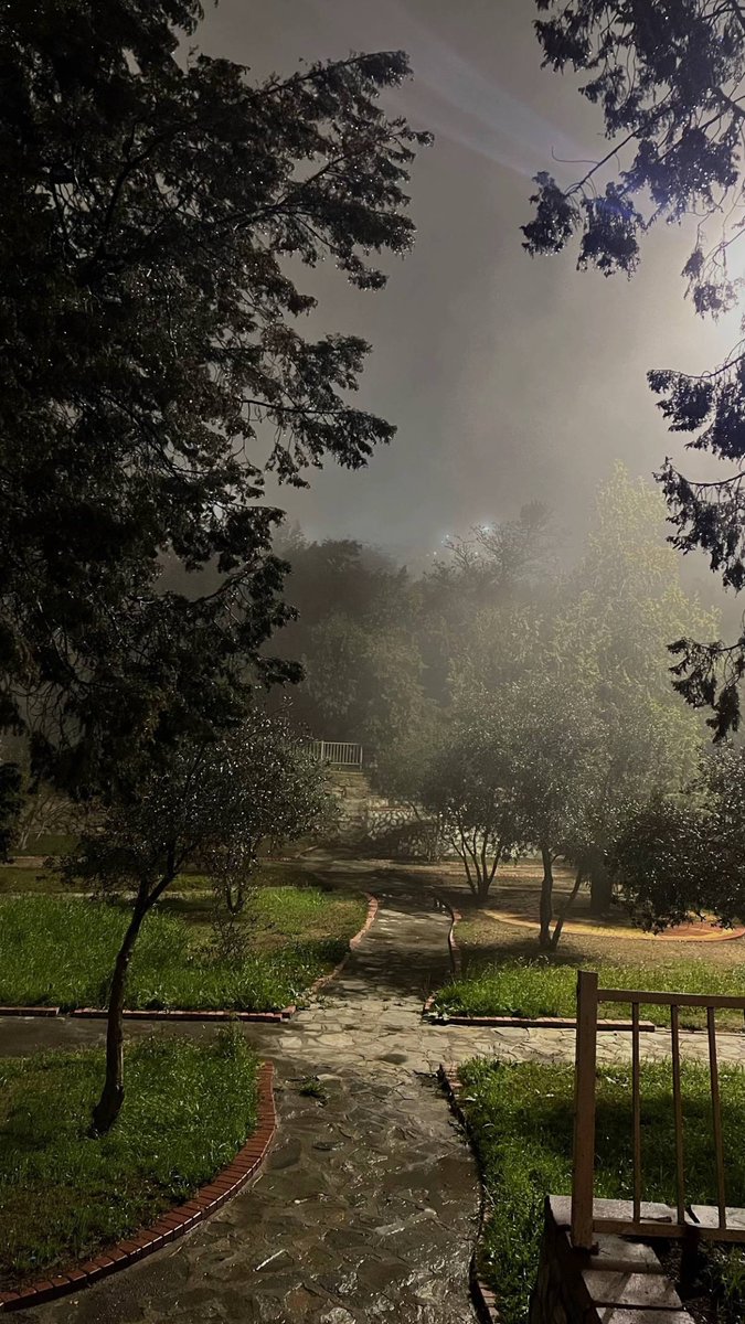 Saudi Live tweet media