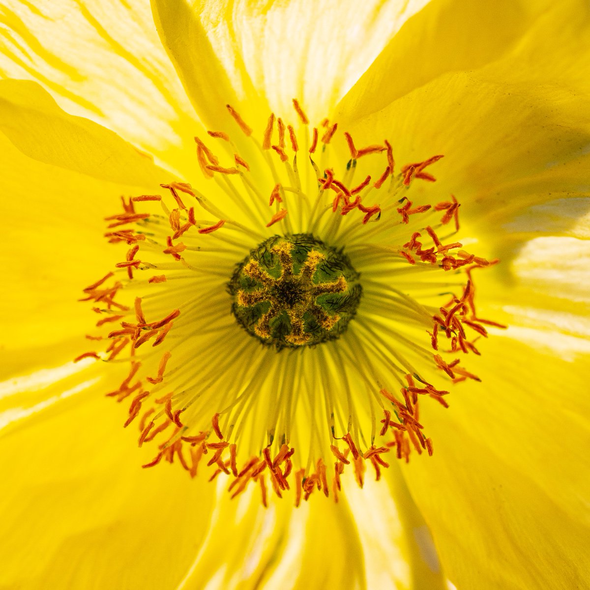 John Getchel tweet media