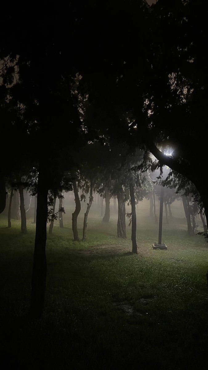 Saudi Live tweet media