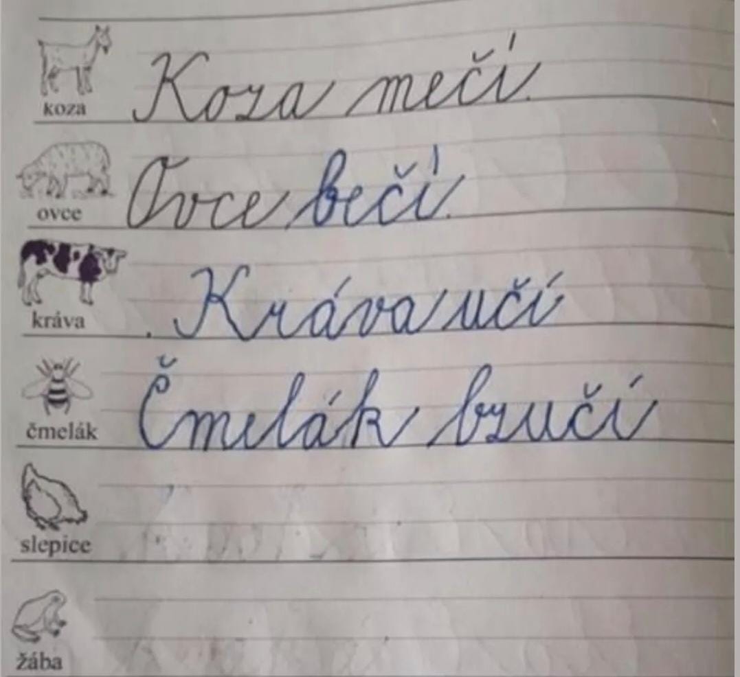 🍍Ananas nezralej🍍 tweet media