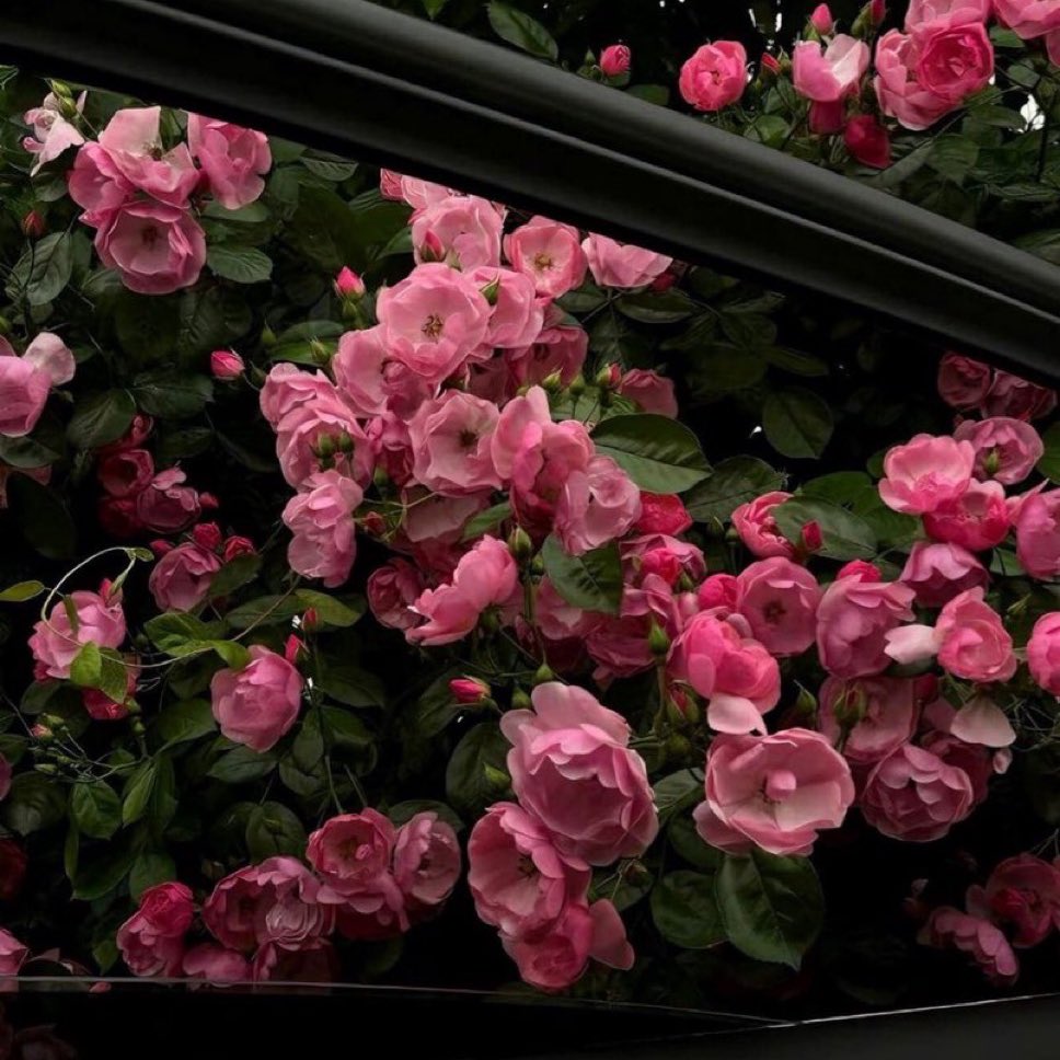 كَـانّـها أنـتـي
      ❣️