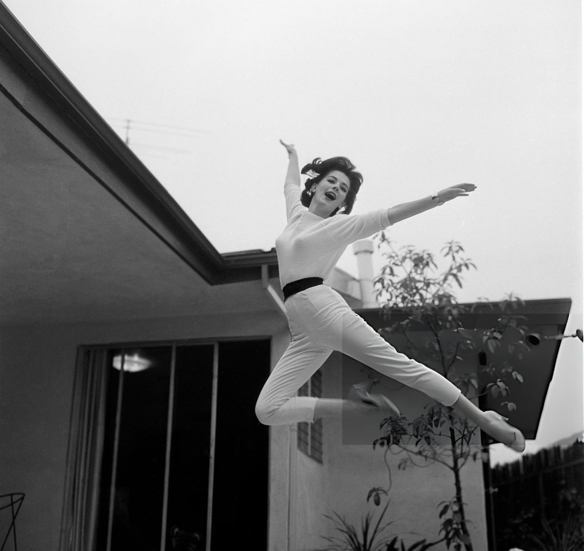 paige 🪼 tweet media