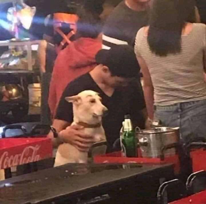 Animalesaprieto's tweet photo. Yo, obligando a mi perrito a pasar tiempo de calidad conmigo: https://t.co/5gLSNiUABA