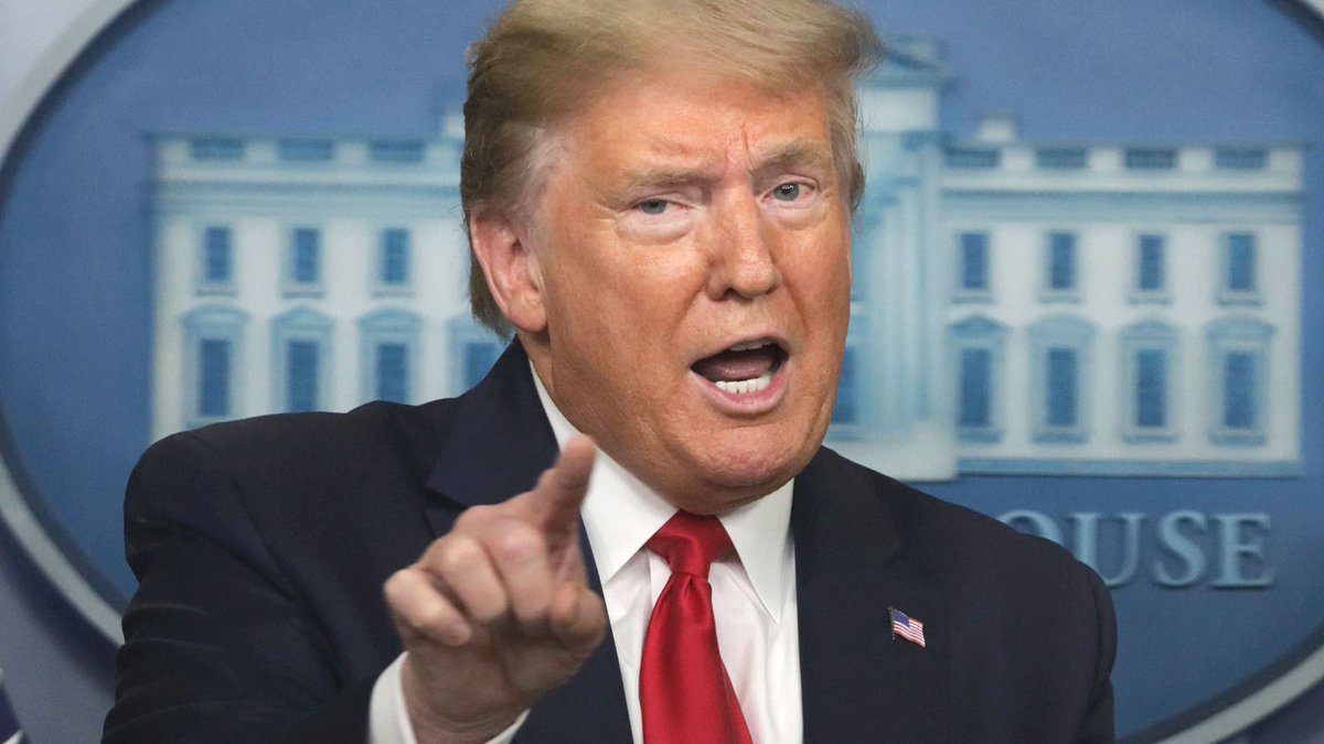 The Maga Trigger tweet media