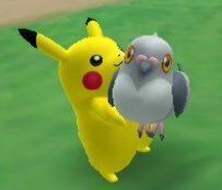 Pokémon Posts tweet media