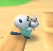 Pokémon Posts tweet media