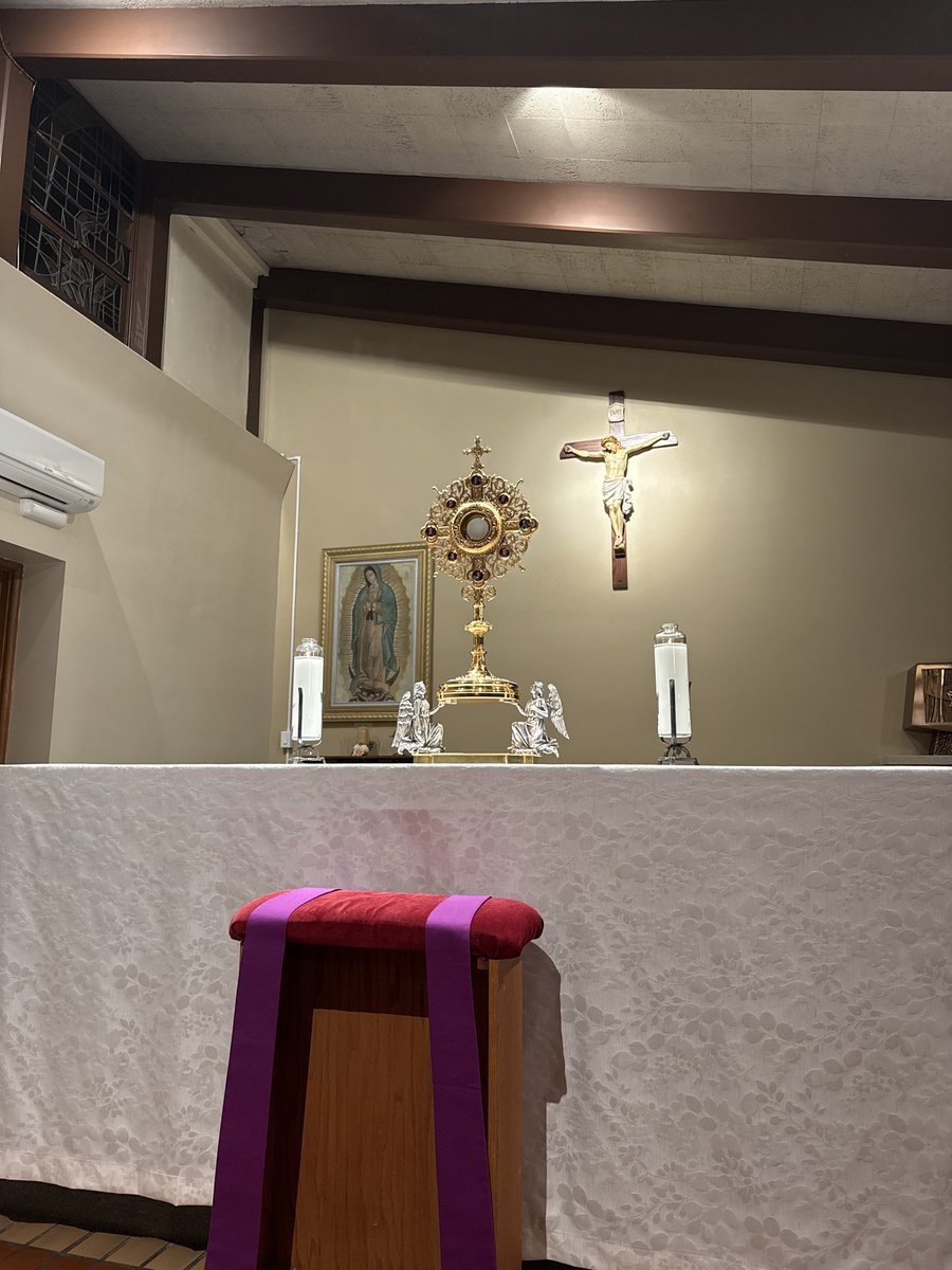 Jess Levo tweet media