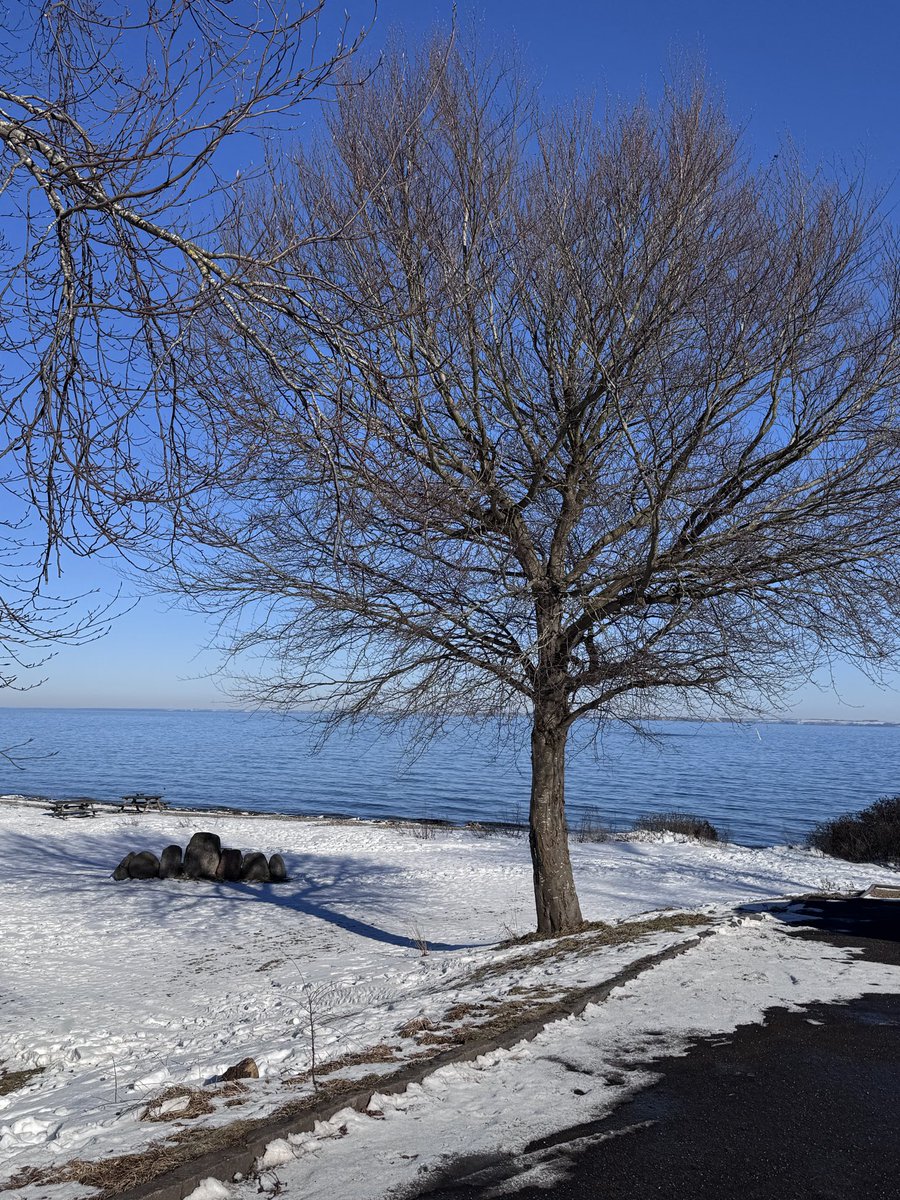 OnTripDK's tweet photo. Danish Winther #visitdenmark https://t.co/CIaCWvedEk
