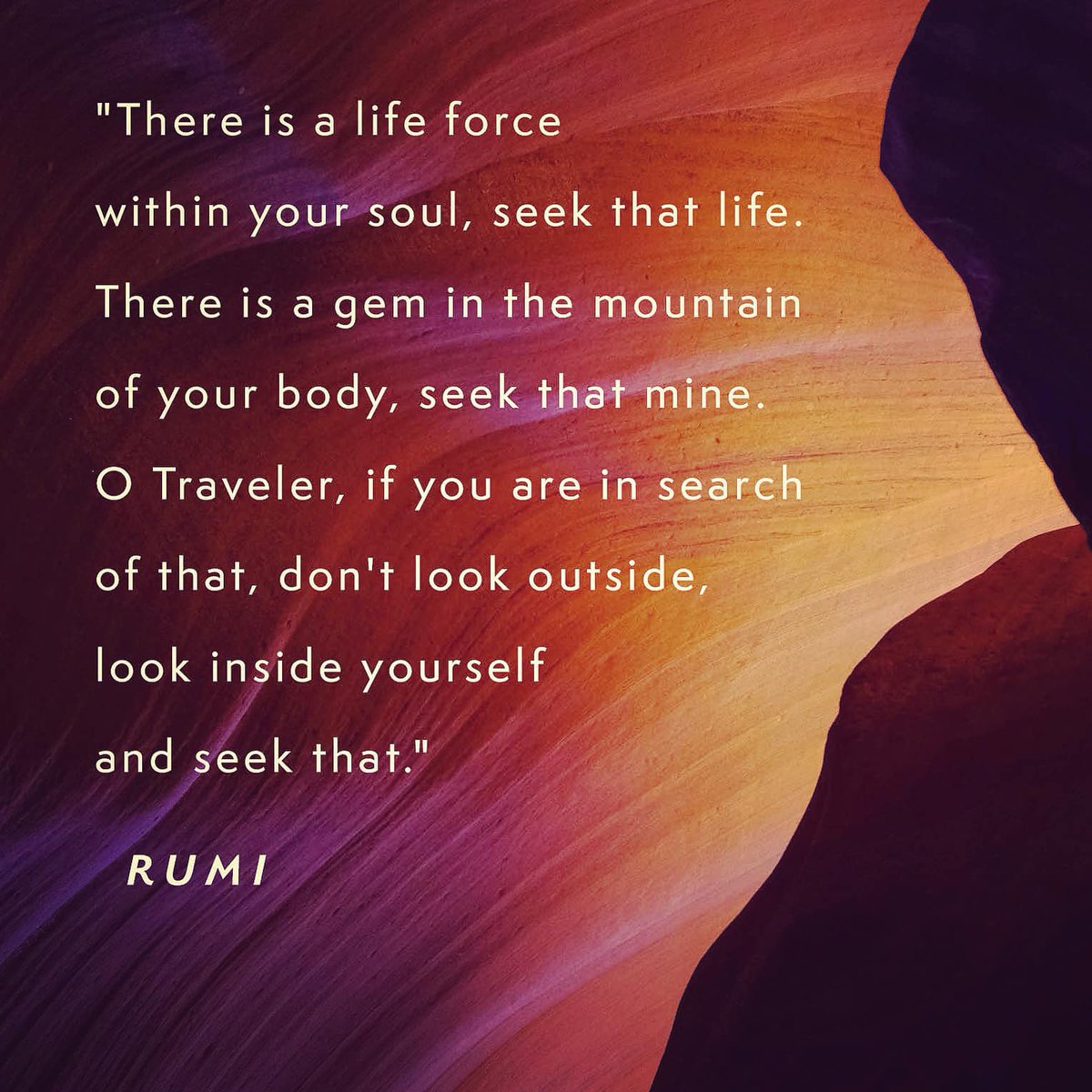 Michael Meade tweet media