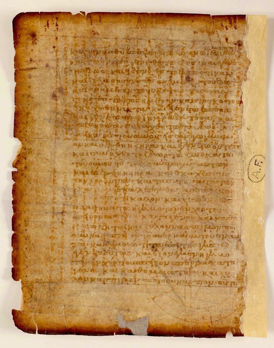 Caroline Fourgeaud-Laville tweet media