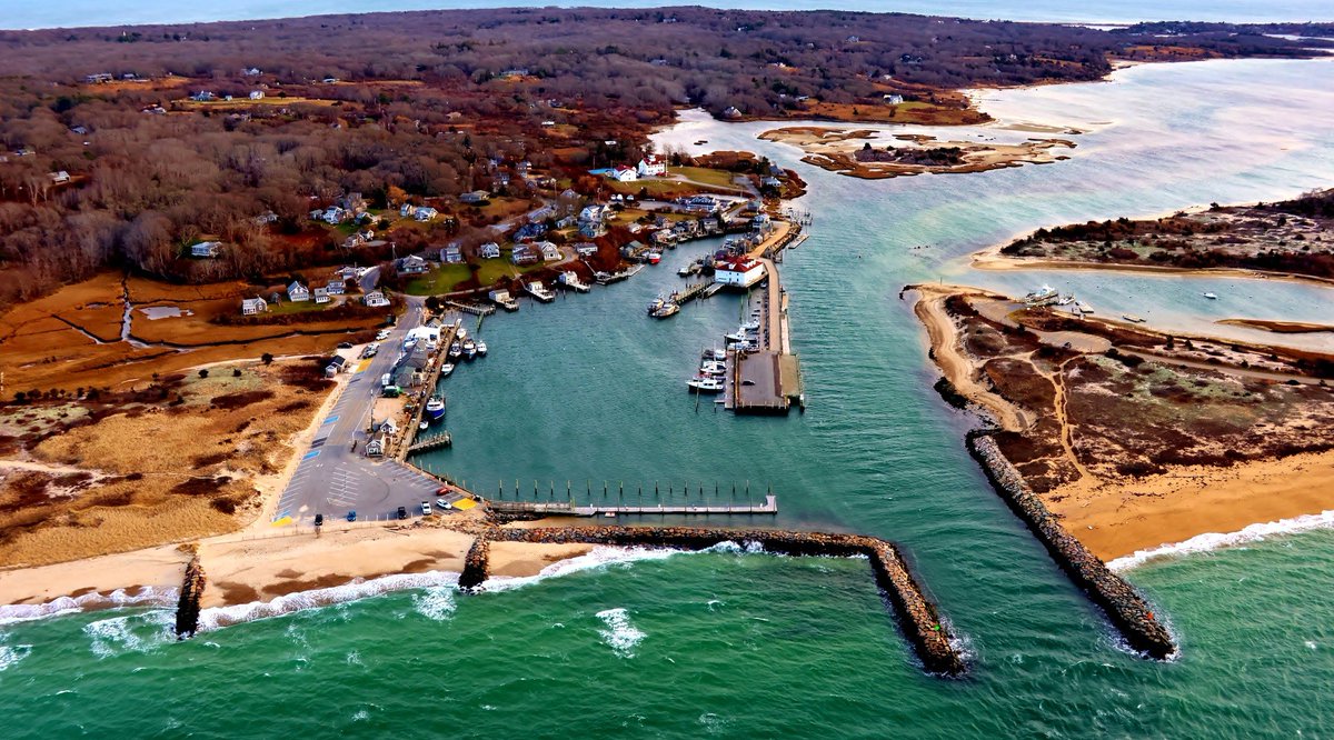 Jacob Shell tweet media