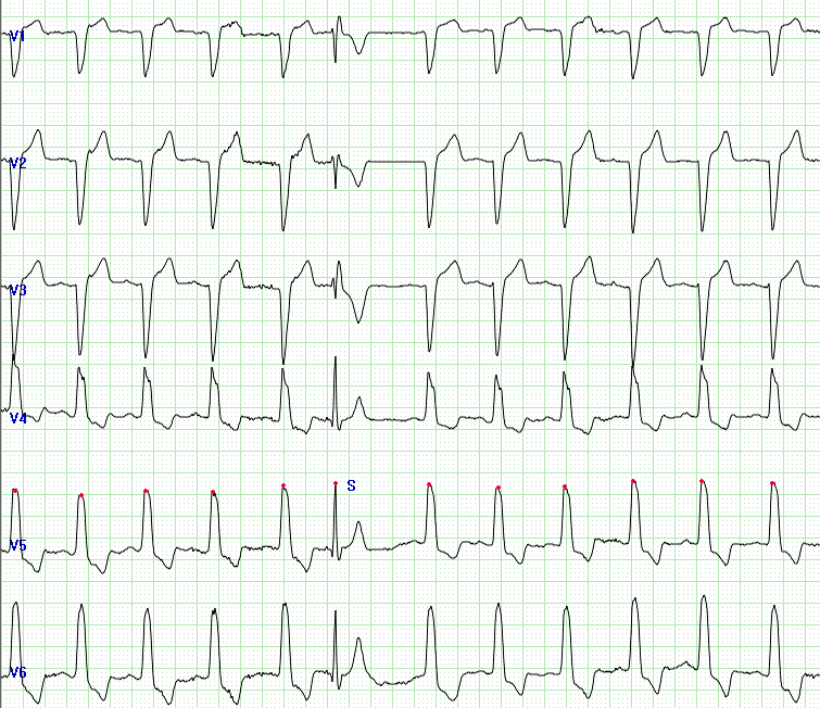 Stathis Papatheodorou tweet media