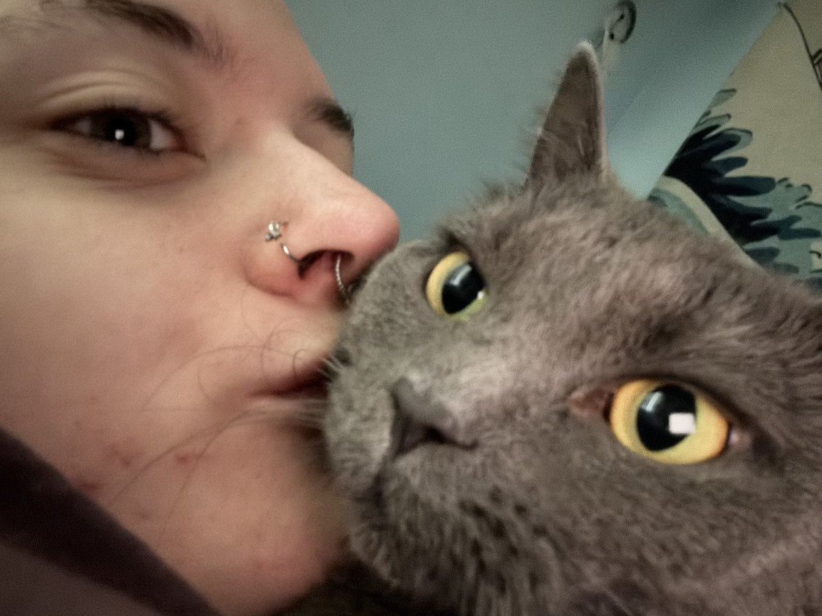 Izzy 🔜 indy tweet media