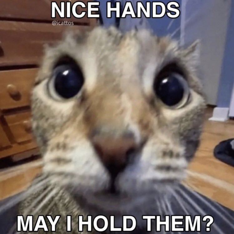 Claw 🇳🇴 tweet media