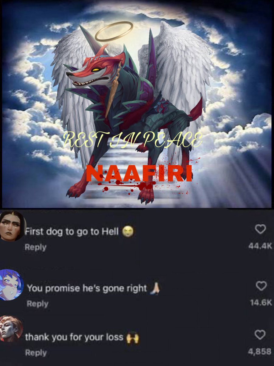 𝑉𝑖𝑜𝑙𝑒𝑡𝑡𝑎 ☀️ tweet media