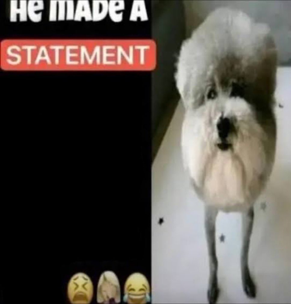 ₊˚.༄ tweet media