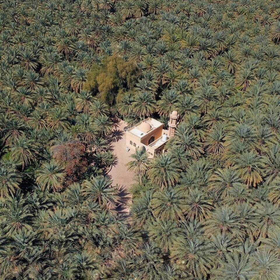 menavisualss's tweet photo. 🌴 🇴🇲 A hidden Mosque in the middle of an ocean full of palm trees. https://t.co/ctJp7EkkSA