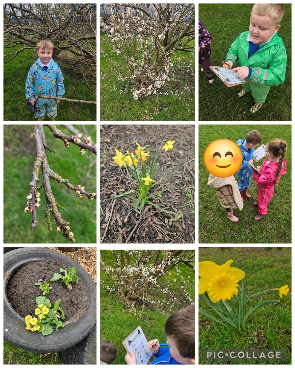 stjosephskly's tweet photo. Reception had a great time during Muddy Monday looking for signs of spring. We worked in pairs to tick off what we found and sang some spring songs together. 🌸 #SJKEYFS #SJKHazelClass #SJKMapleClass #SJKOutdoorLearning https://t.co/5z6tYd6B1E