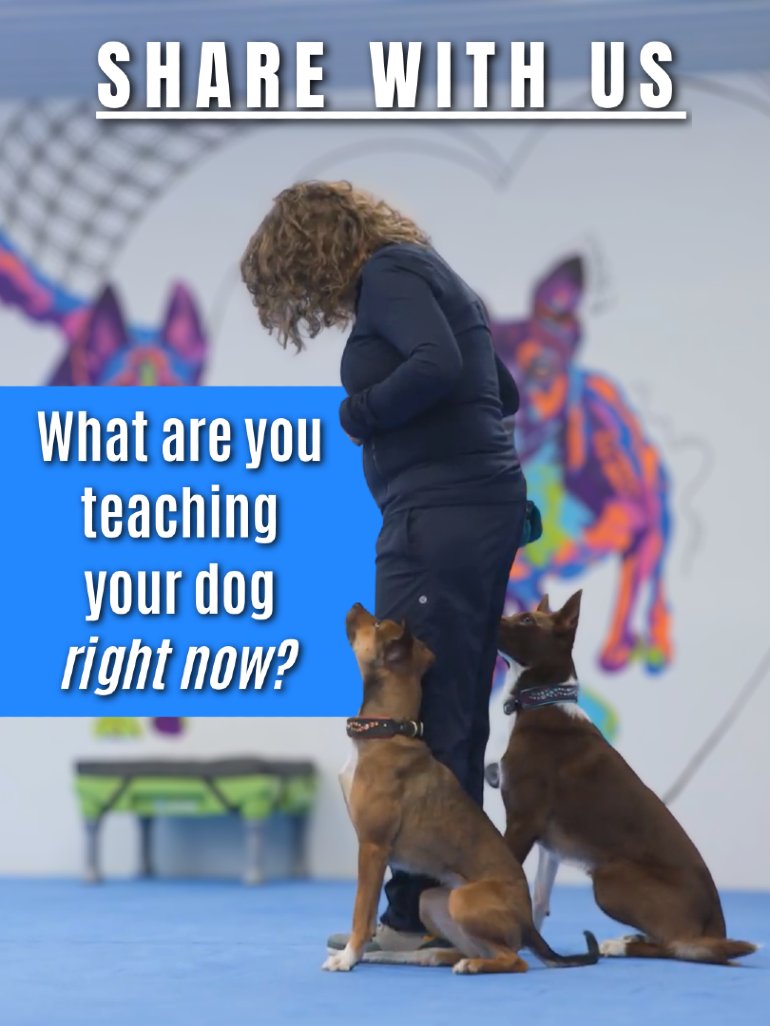 Susan Garrett tweet media