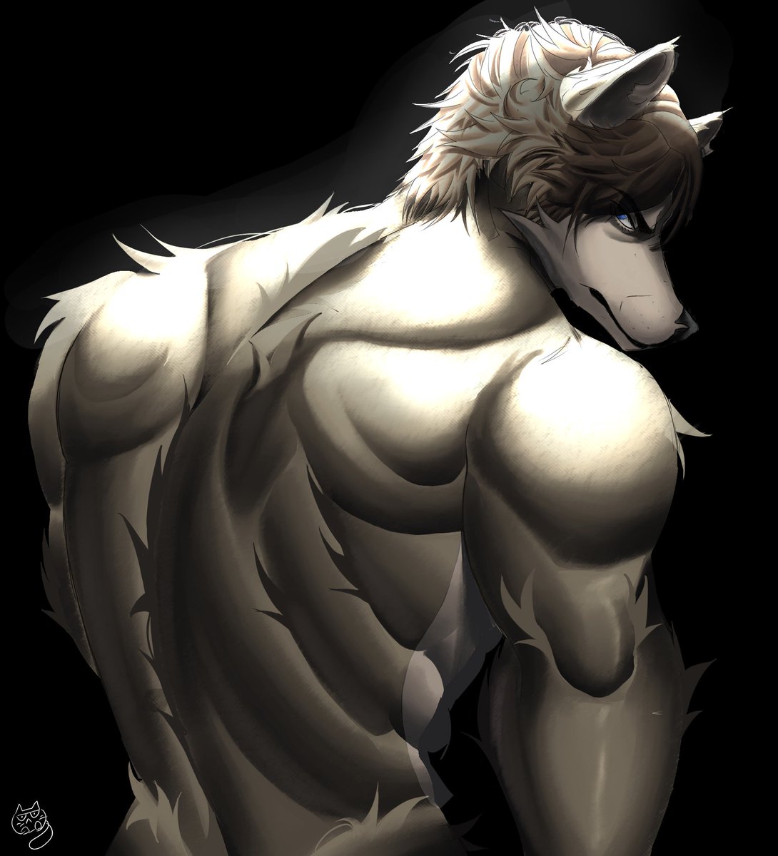 MeatMoon (COMMS OPEN) tweet media