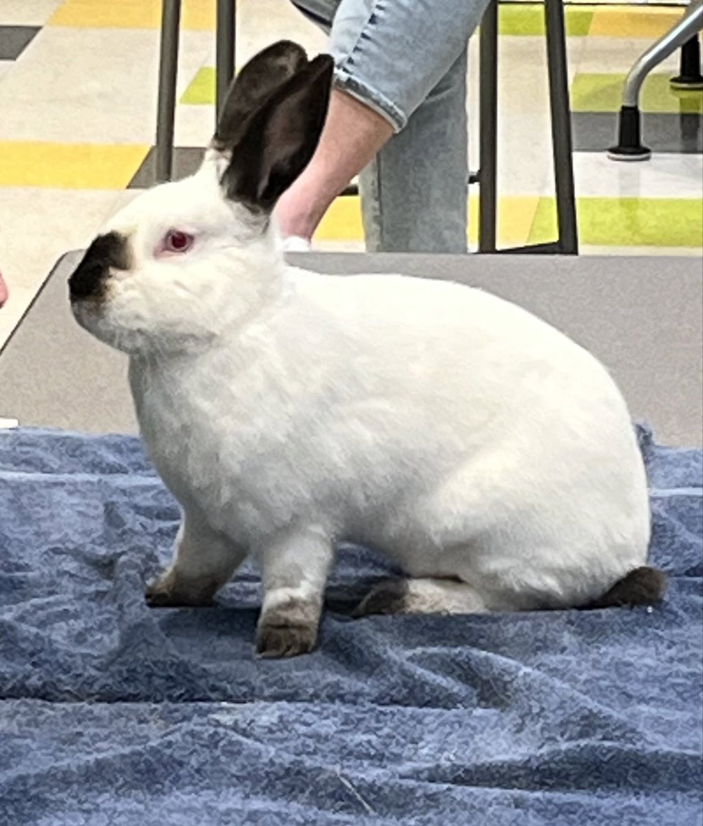 Connections Academy tweet media