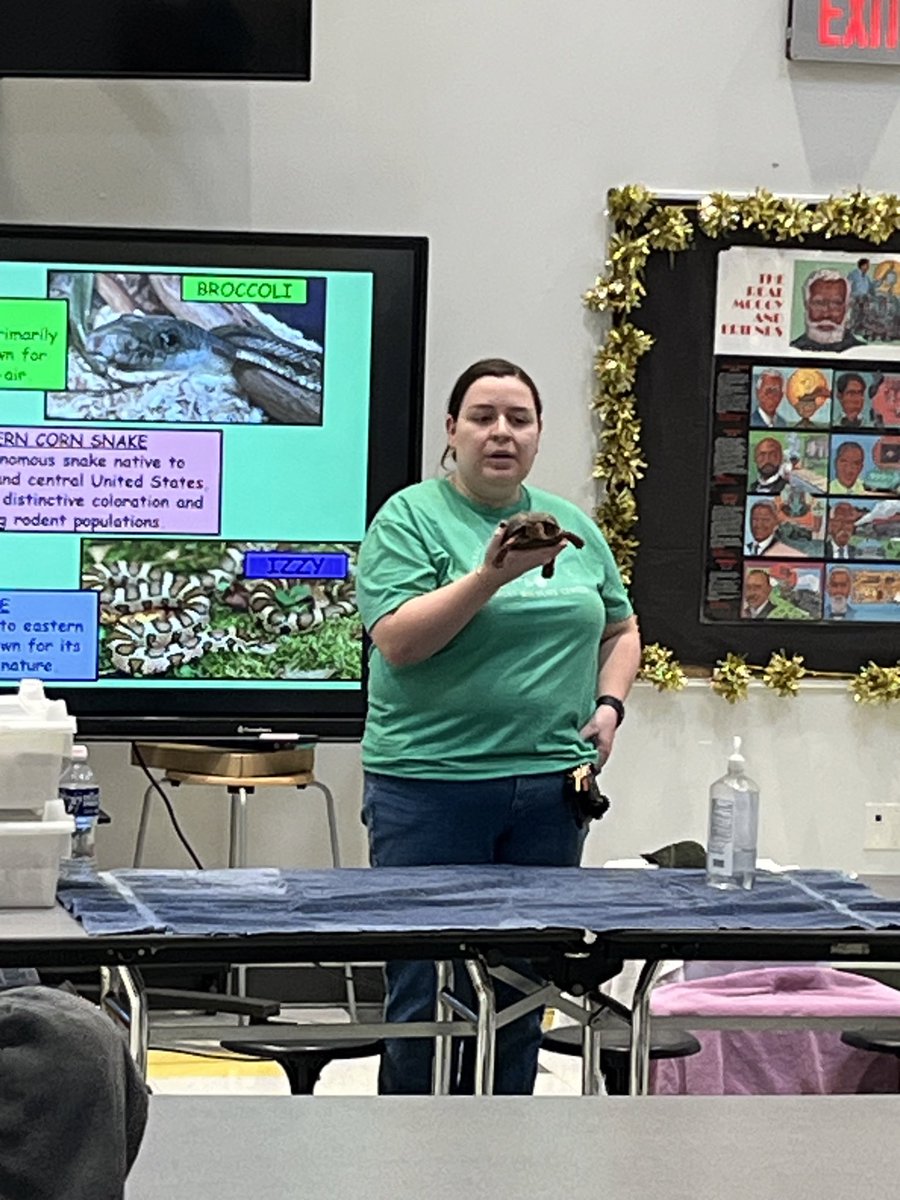 Connections Academy tweet media