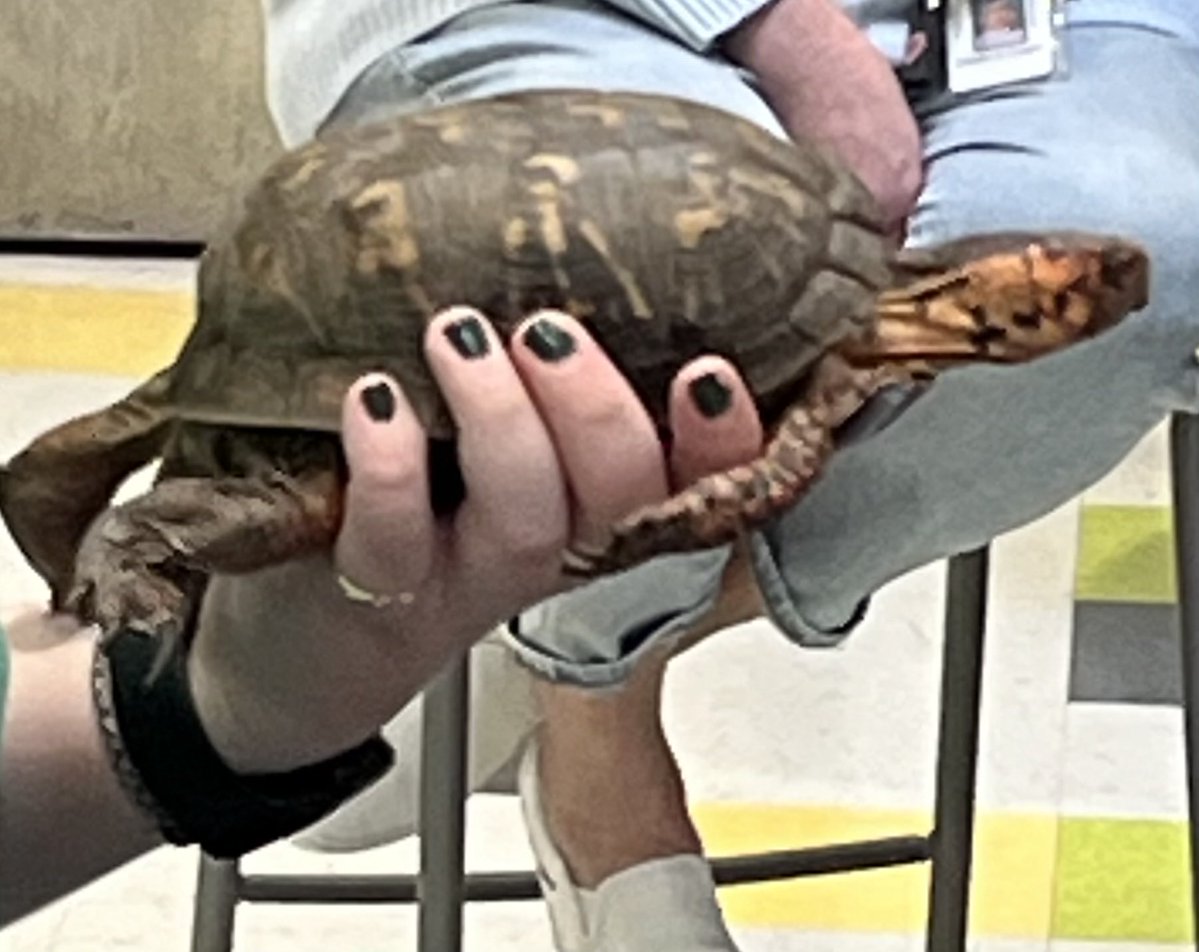 Connections Academy tweet media