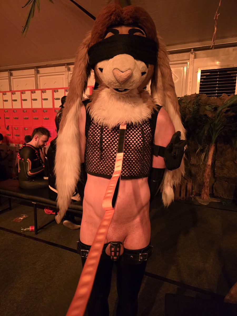 Sora 🐰🍑 🔜 Darklands tweet media