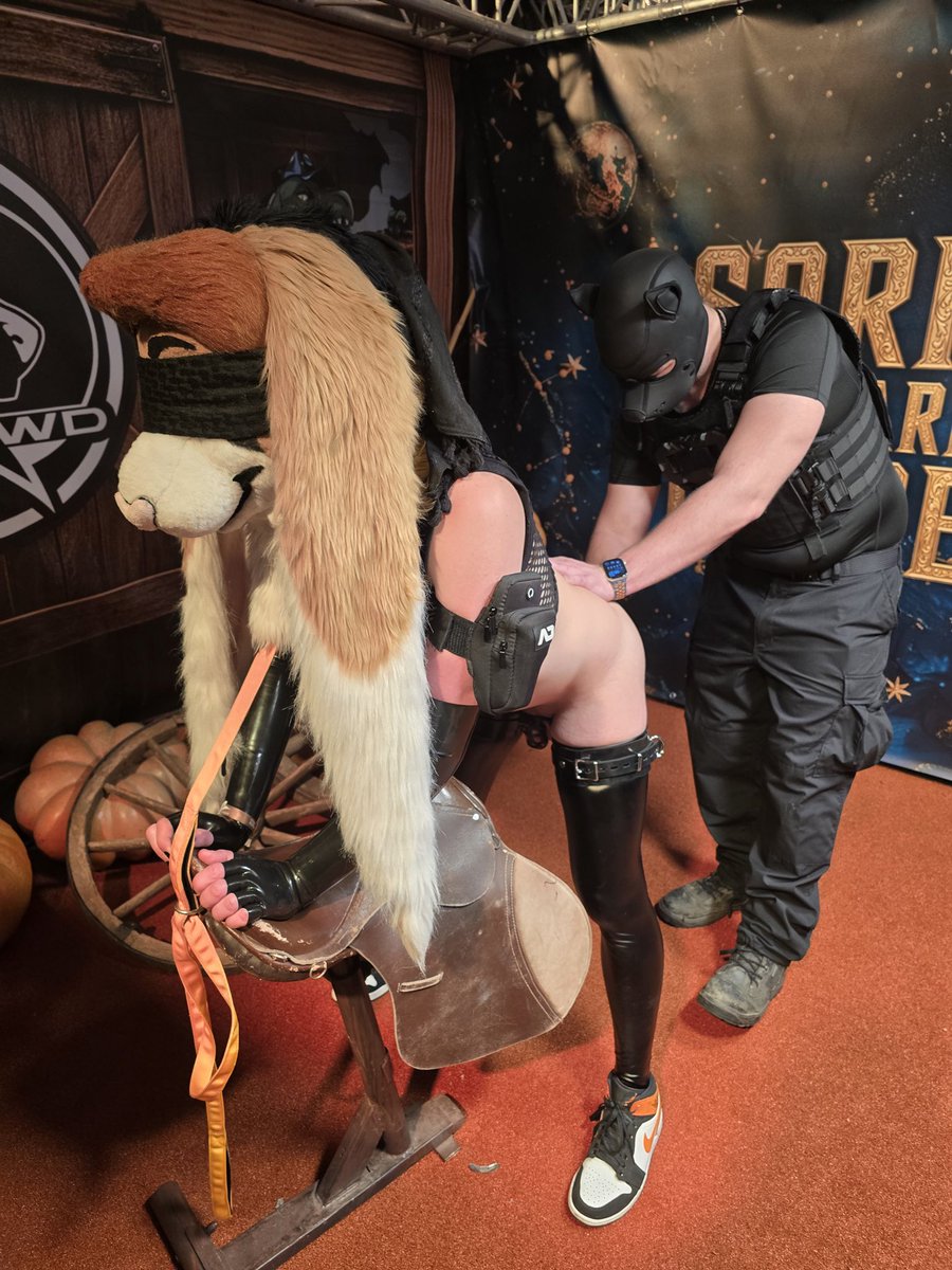 Sora 🐰🍑 🔜 Darklands tweet media