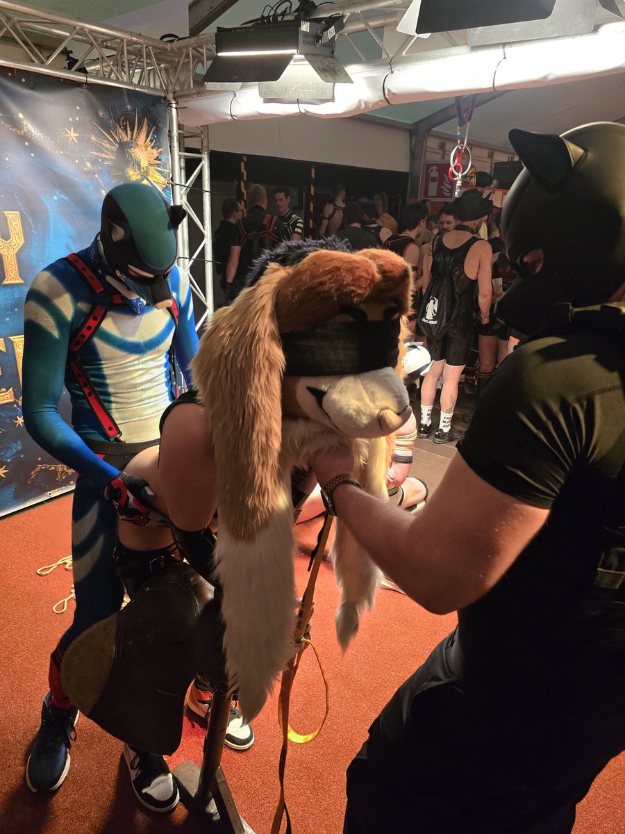 Sora 🐰🍑 🔜 Darklands tweet media