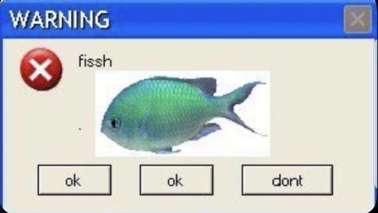 pear🍀 tweet media