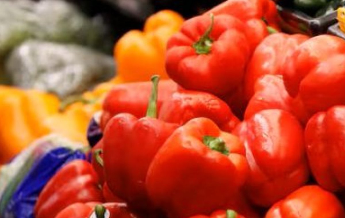 USF Health Medicine tweet media