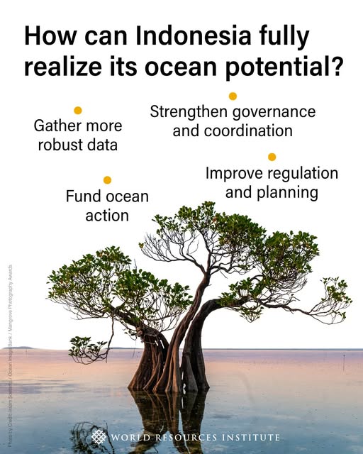 WorldResources's tweet photo. 🌊The ocean could be one of our most powerful allies in fighting climate change, if we do a better job of protecting and leveraging it.

In few places is this truer than Indonesia. But the world's biggest archipelagic nation could step up their efforts for rapid change. Here's how: https://t.co/yoKvK9WnVm