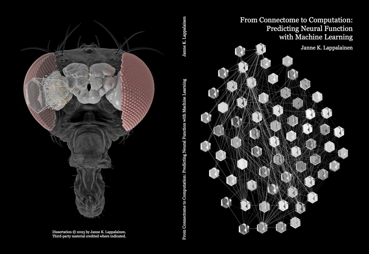Janne Lappalainen tweet media