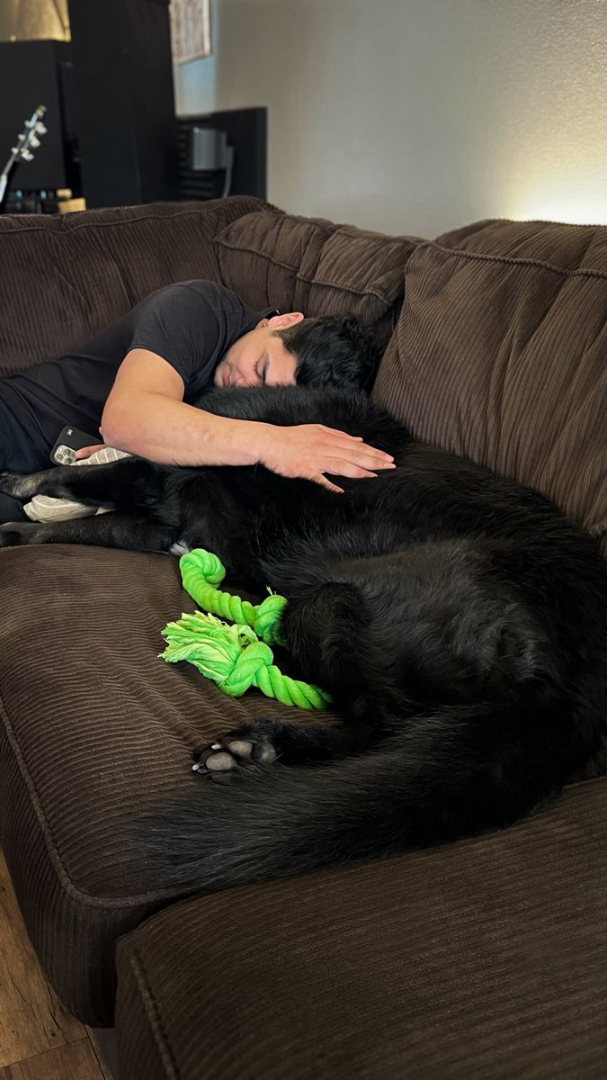 LUXSYNTH tweet media