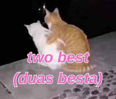 Janaína - UŞ - 🌊 tweet media