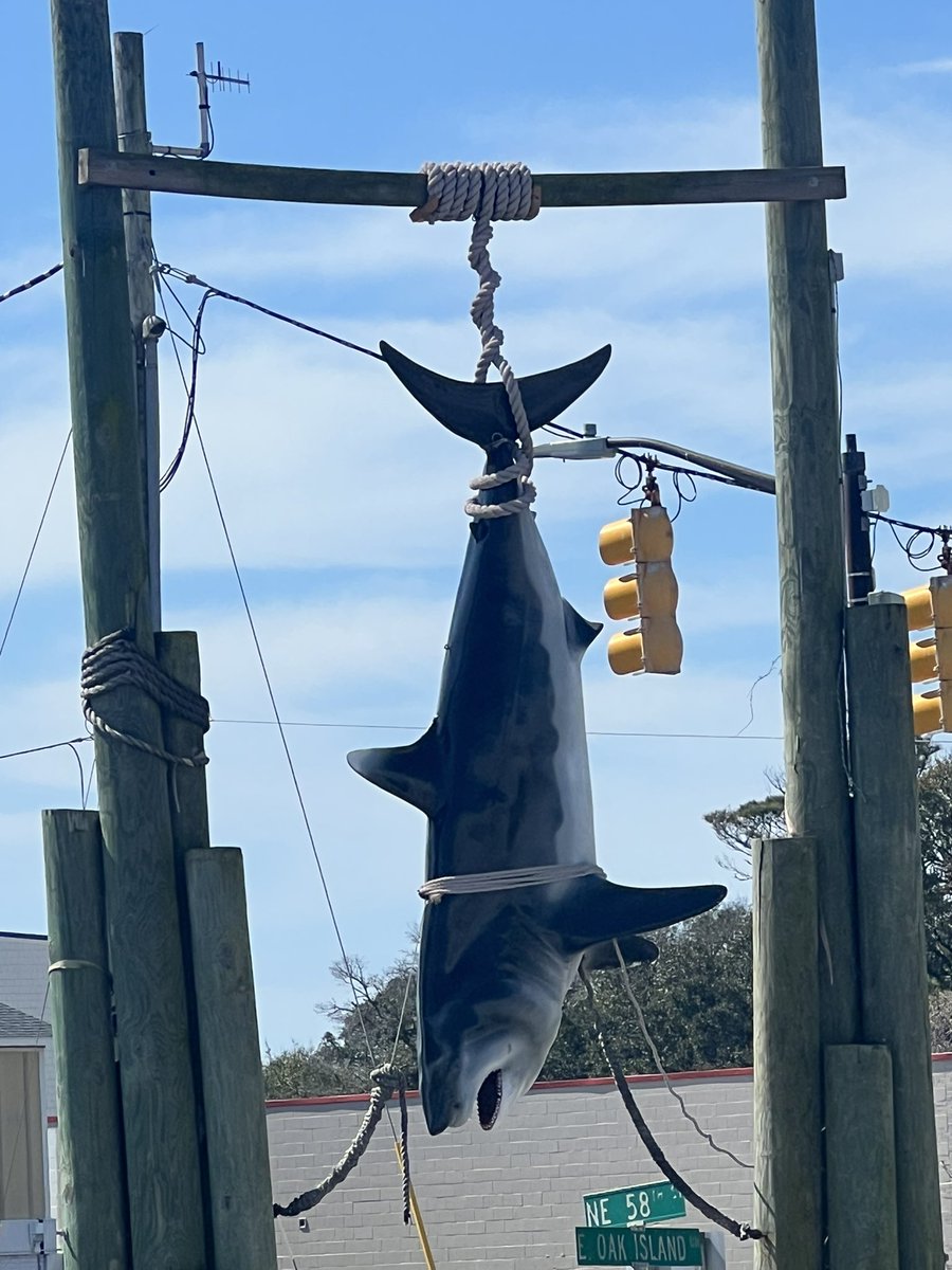 Morgrim Mortem🌿🖤 tweet media