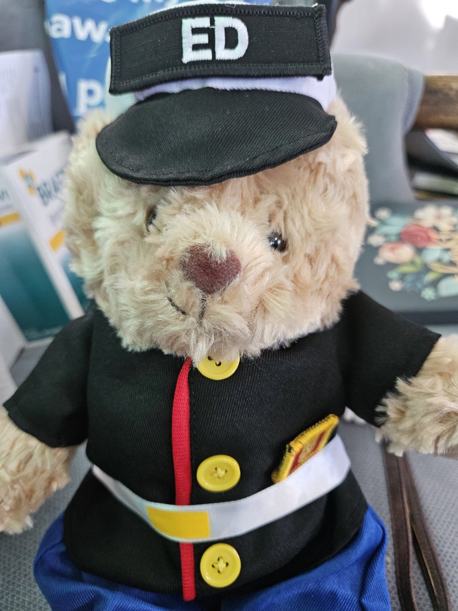 The Cantankerous Housewife tweet media